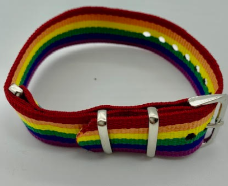 Pride rainbow belt bracelet